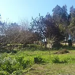 Ecobosque * Nadadouro