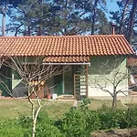 Ecobosque *