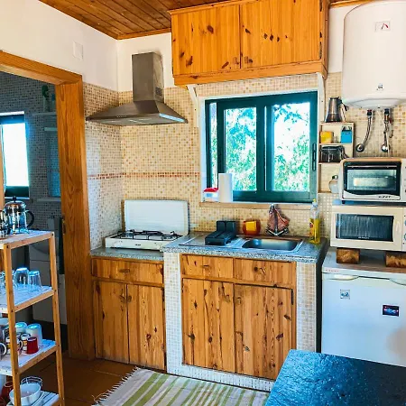 Ecobosque * Nadadouro