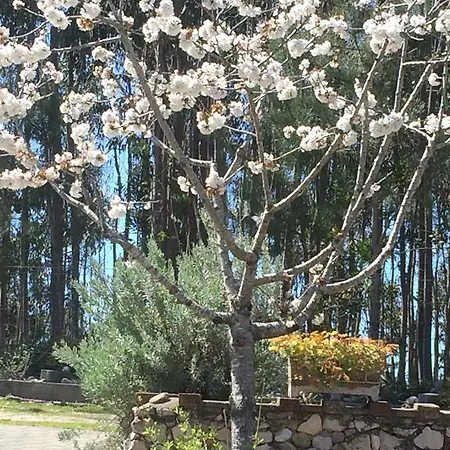 Ecobosque Casa de Férias