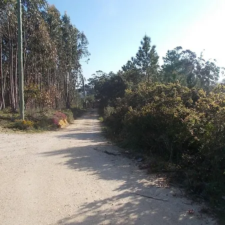 Ecobosque