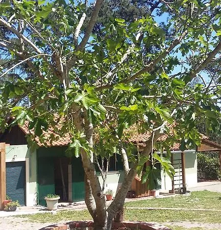 Ecobosque Feriehus Nadadouro