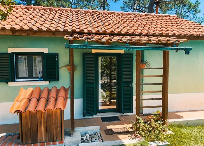 בית נופש Ecobosque Nadadouro