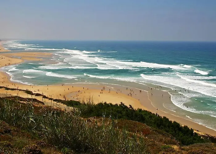 בית נופש Ecobosque