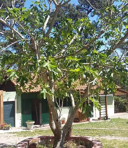 Ecobosque Holiday home Nadadouro